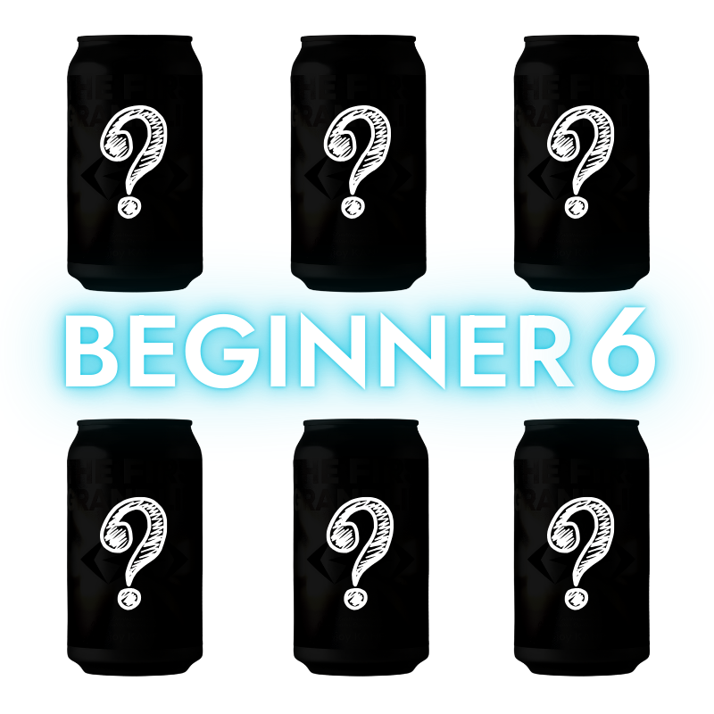 BEGINNER 6